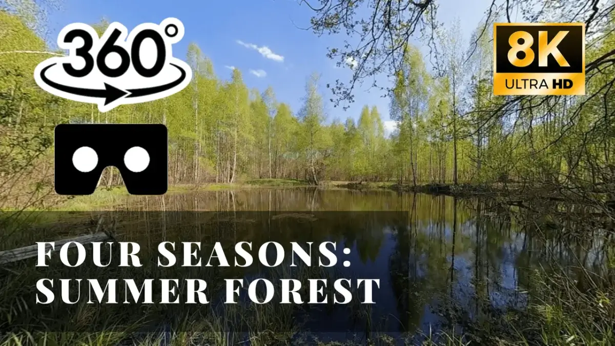 Four Seasons: Summer Forest VR 360