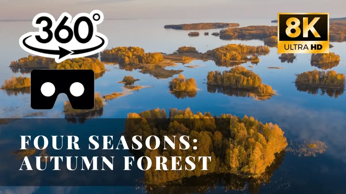 Four Seasons: Autumn Forest VR 360