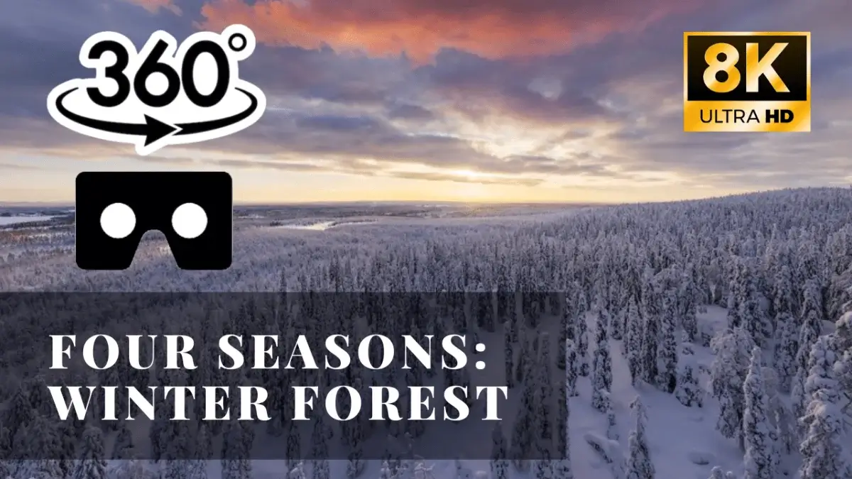 Four Seasons: Winter Forest VR 360