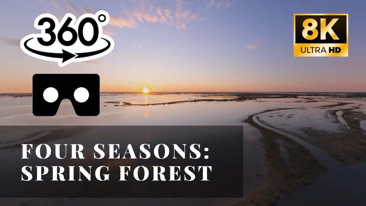 Four Seasons: Spring Forest VR 360