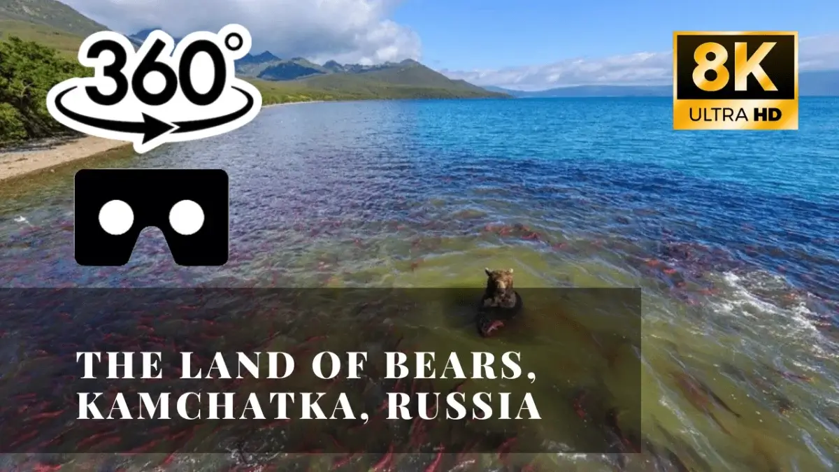 The Land of Bears, Kamchatka, Russia VR 360