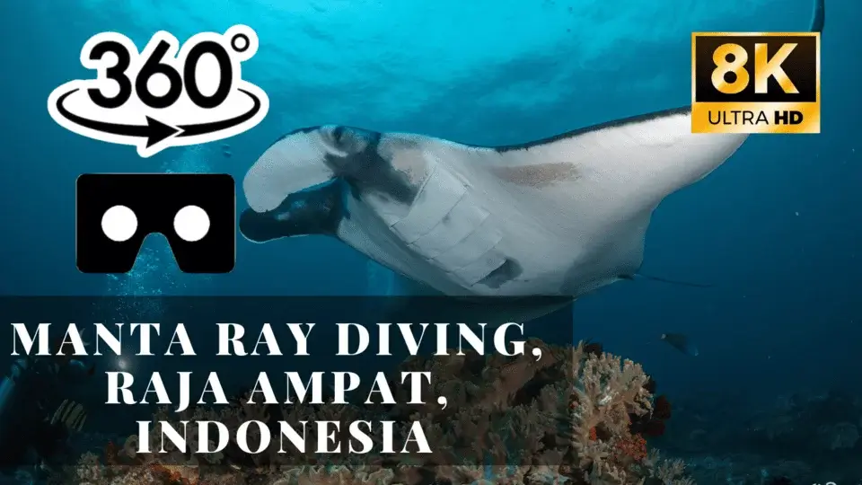 Manta Ray Diving, Raja Ampat, Indonesia VR 360